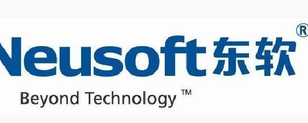 东软集团 深耕软件技术转让，引领行业创新与服务